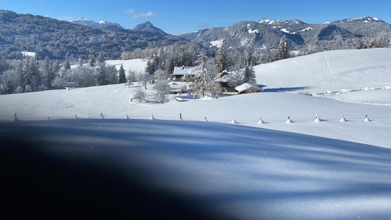 Landhaus Am Plattenbichl - Luxus Apartment Mit Privat-Pool Und Sauna - Im Sommer Bergbahn Inklusive オーベルストドルフ エクステリア 写真